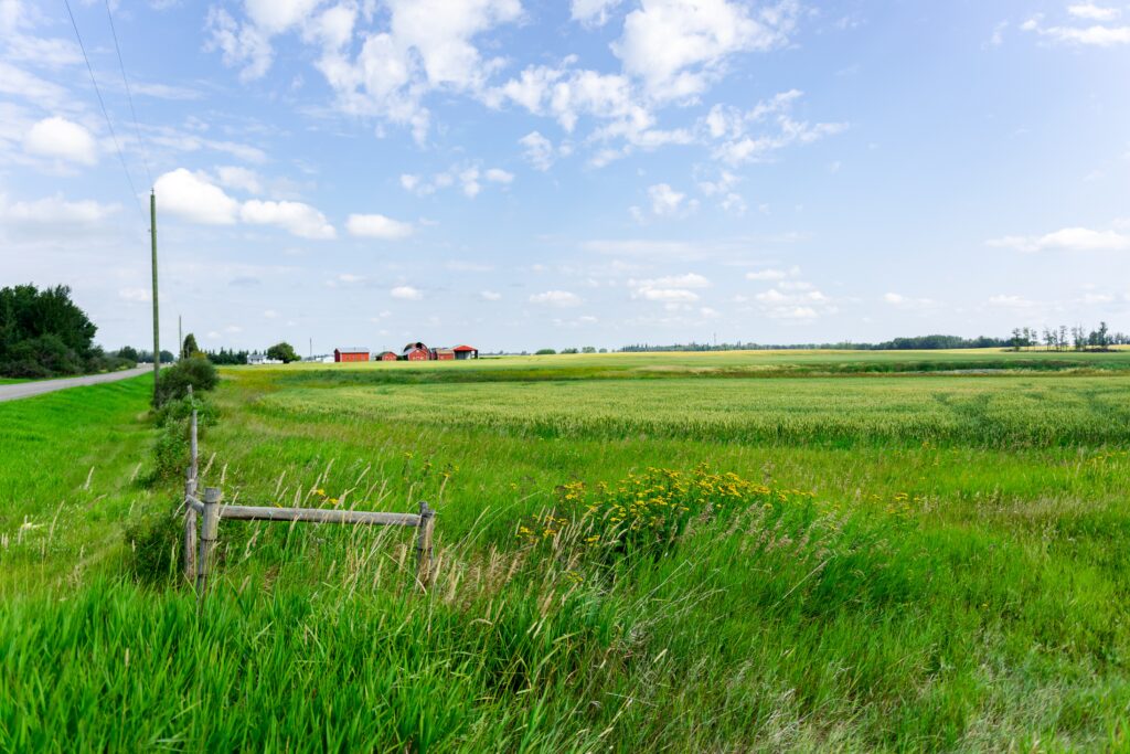 A scenic view of a lush green field on a sunny day, with a dirt road and utility poles running along the left side. In the background, there are several red barns and farm buildings scattered across the expansive landscape. The sky is mostly clear with a few scattered clouds, and the overall atmosphere is peaceful and rural. Wildflowers and tall grass are visible in the foreground, adding to the idyllic countryside setting.