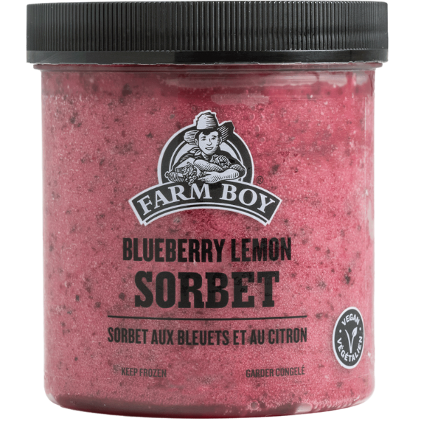 Farm Boy Blueberry Lemon Sorbet