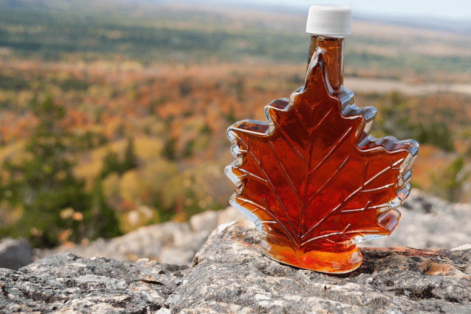 Glass bottle of maple syrup on cliff overlooking trees.
