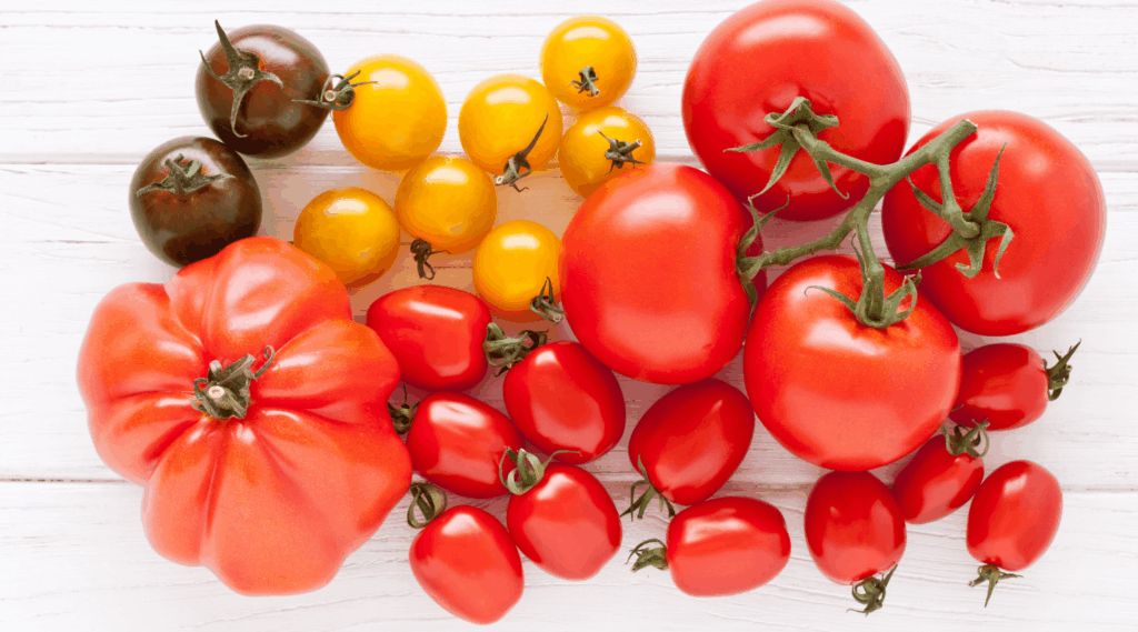 Colorful tomatoes on a white wooden board